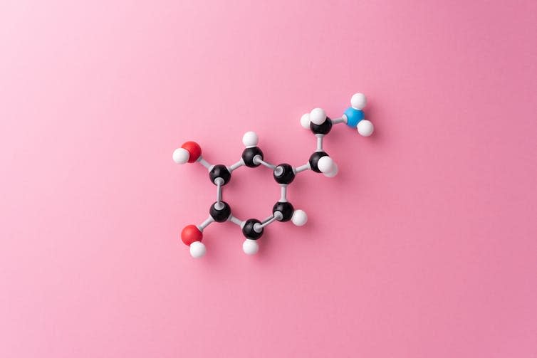 <span class="caption">Dopamine chemical formula.</span> <span class="attribution"><a class="link " href="https://www.shutterstock.com/image-photo/dopamine-cheimcal-formula-over-pink-background-1305983566?src=b83dce56-8ea5-4428-8ede-c1abad79fbd4-1-0" rel="nofollow noopener" target="_blank" data-ylk="slk:bogdandimages/Shutterstock;elm:context_link;itc:0;sec:content-canvas">bogdandimages/Shutterstock</a></span>