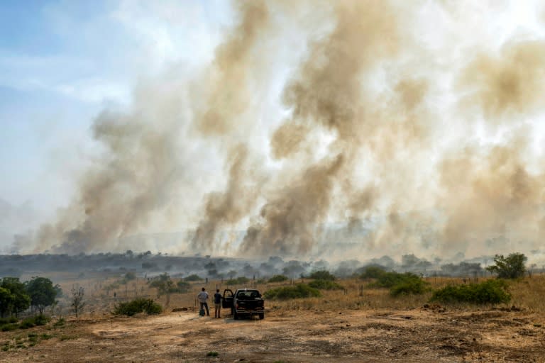 Deux hommes se tiennent près d'un camion et observent les panaches de fumée qui s'élèvent d'un champ après que des roquettes lancées depuis le Sud-Liban ont atterri près de Katzrin, sur le plateau du Golan annexé par Israël, le 13 juin 2024 (Jalaa MAREY)