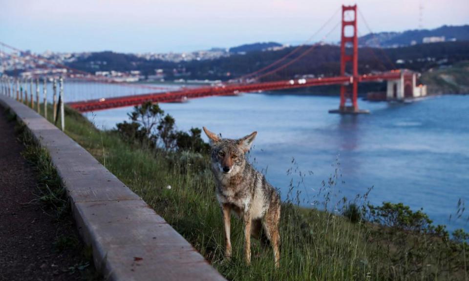 <span>Photograph: Shannon Stapleton/Reuters</span>