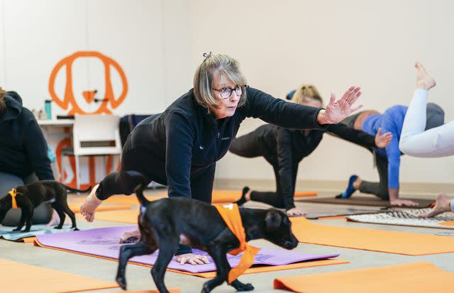 Courtesy Yoga at the Best Friends Animal Resource Center in Arkansas
