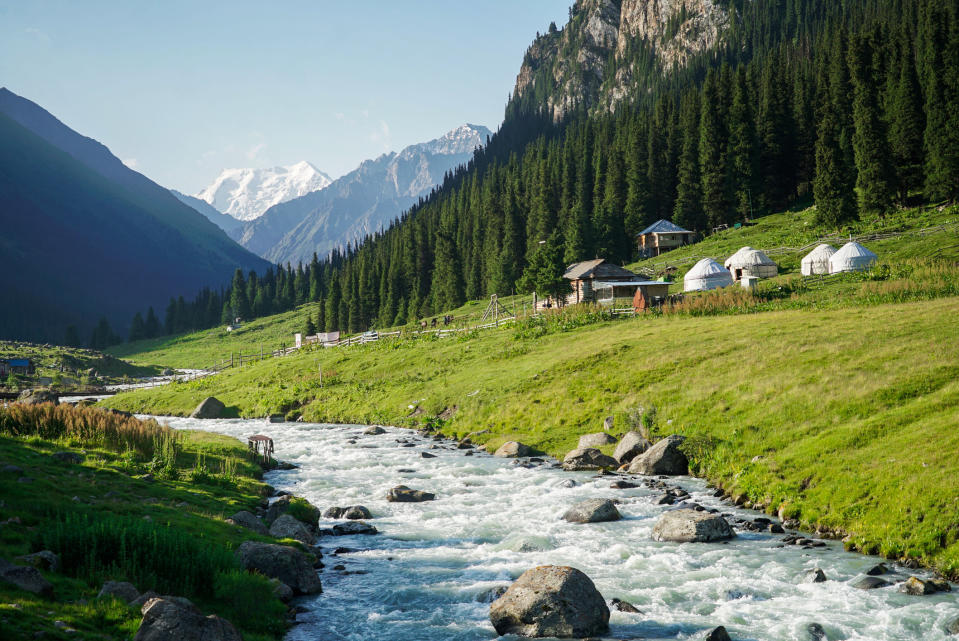 Yurts in an alpine forest next to a spring.