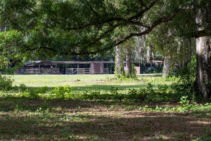 Stables can be seen from the road at the former Leesburg High School band director Gabriel Fielder&#39;s property in Ocklawaha. [Cindy Peterson/Correspondent]