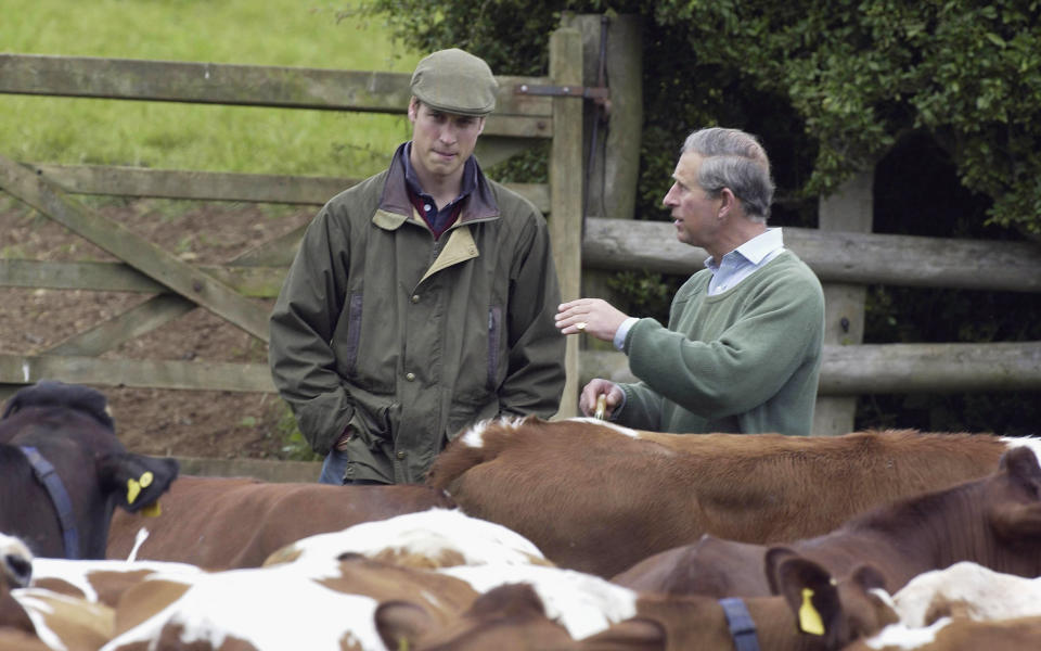 TETBURY, ENGLAND - MAY 29: HRH Prince William speaks with his father Prince Charles during a visit to Duchy Home Farm as part of his ongoing interest in farming and his father's estate, May 29, 2004 in Tetbury, England. (Photo by Anwar Hussein/Getty Images)