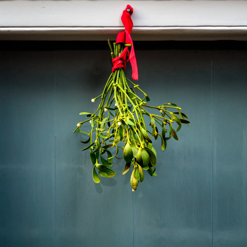 Mistletoe hanging in front of a door.<p>Paul Zoetemeijer/Unsplash</p>