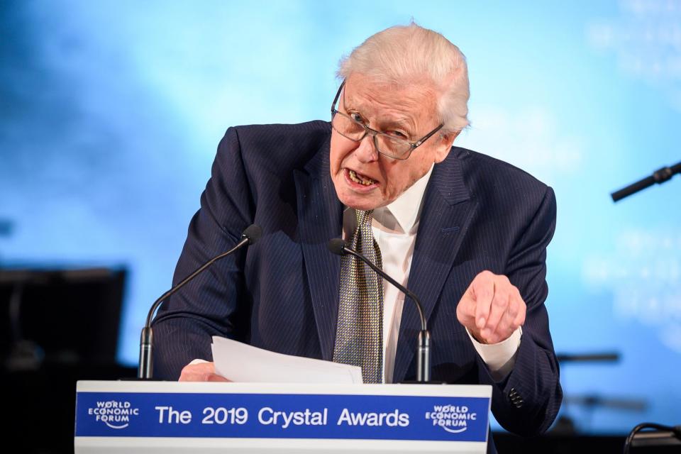 Sir David Attenborough urged business and political leaders to come up with 'practical solutions' (AFP/Getty Images)