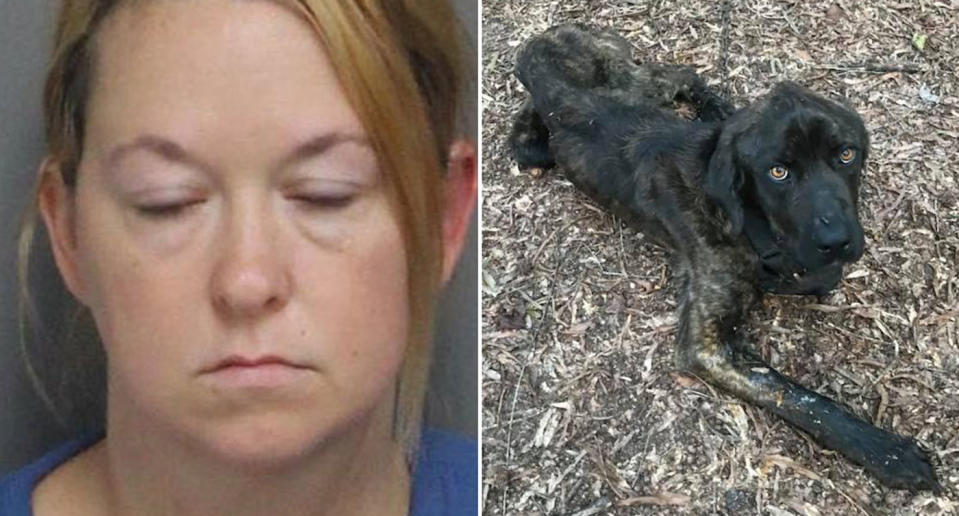 Elizabeth James allegedly starved Champ after her ex-boyfriend left the dog at home. Source: Laurans County Jail and Rescue Dogs Rock NYC