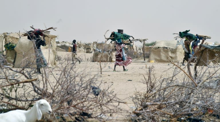 Africa's Lake Chad region has been hit by a "perfect storm" of challenges, Swedish diplomat Carl Skau said, including terrorism and the effects of climate change