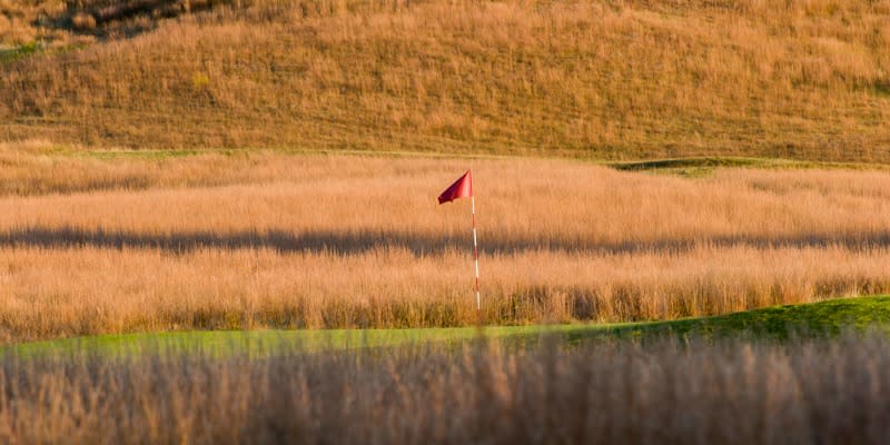 shinecock golf course