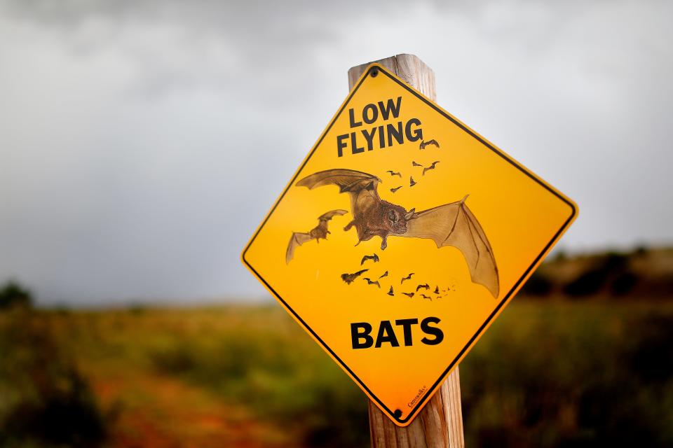 A sign posted near the Selman Bat Cave near Freedom warns onlookers to watch for low flying bats.