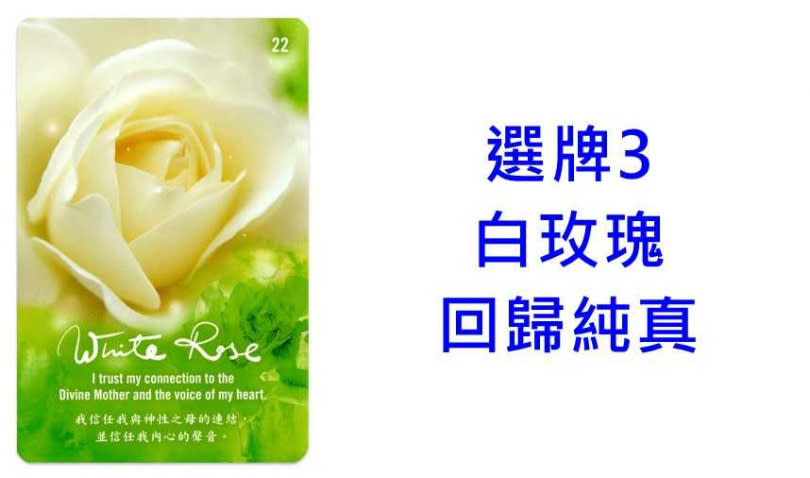 本次牌卡使用《AKASHA Sacred Healing Cards阿卡莎脈輪花精療癒卡》Sun Ya Fischer富桑雅 著。