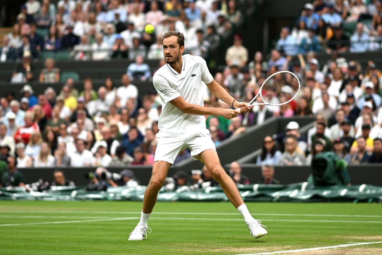 Medvedev beat Alcaraz in straight sets in their only previous Wimbledon clash (Getty Images)