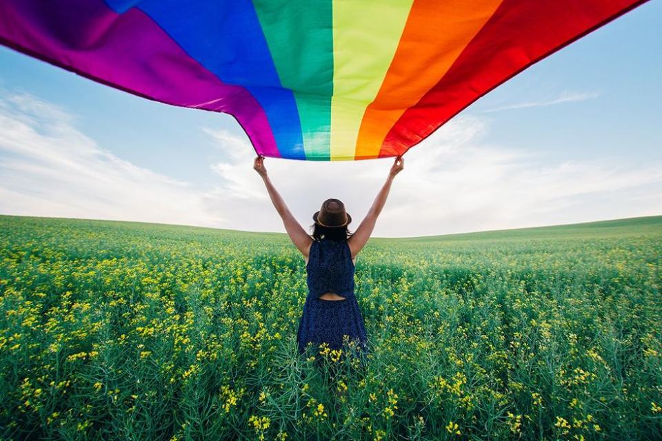 person waving a pride flag