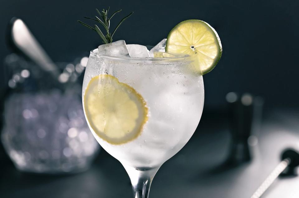 gin and tonic cocktail