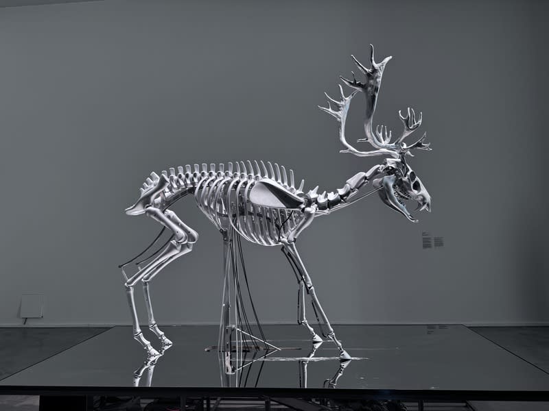 英國藝術家柯里蕭設計的「數位雄鹿」 英國藝術家柯里蕭（Mat Collishaw）設計的「數位雄 鹿」，由鋼、鋁、電路、顯示器等材料所組成。 中央社記者劉郁葶布拉格攝  113年5月10日 