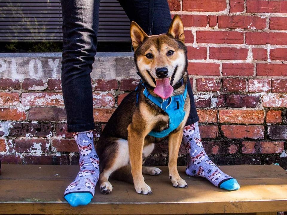 custom dog socks