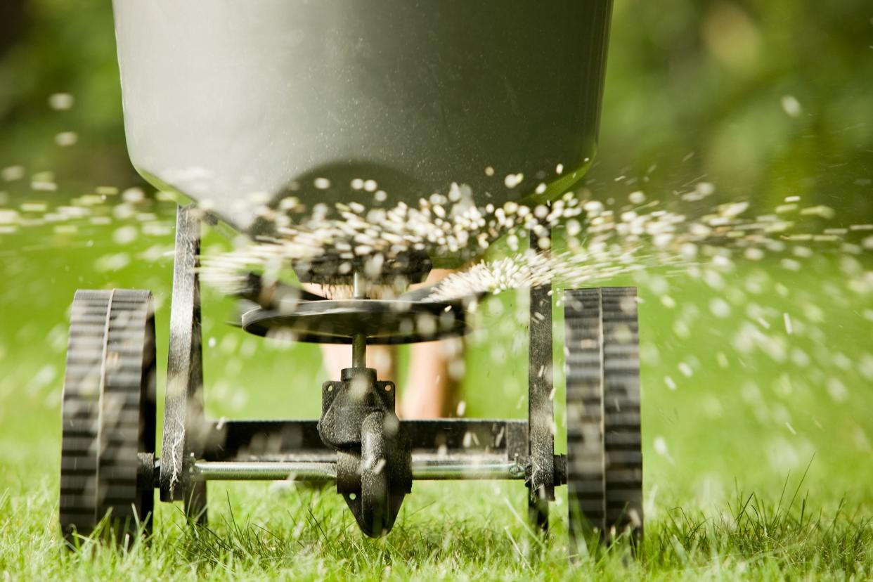 fertilizer pellets spraying from spreader