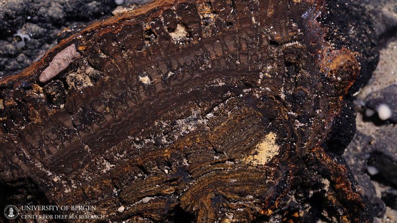 A view shows a cross-section of a manganese crust at the bottom of the Norwegian Sea