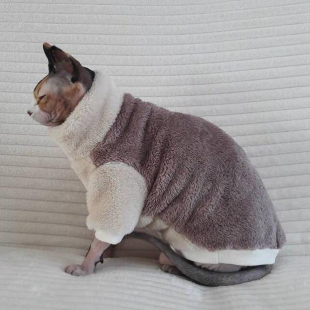 Cat's Giant Winter Coat Is Impossible to Resist - PetHelpful News