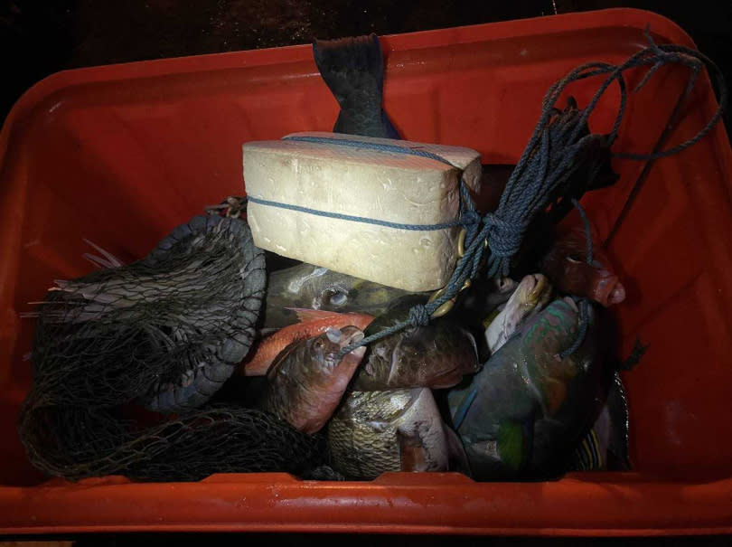 3名男子以魚叉非法在星沙灣捕撈鸚哥魚等漁獲。（圖／海巡署提供）
