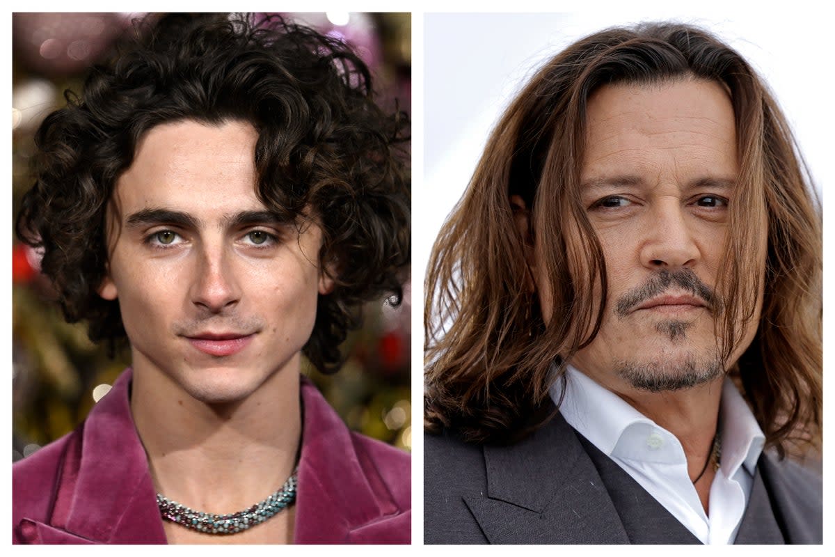 Timothée Chalamet and Johnny Depp have both played incarnations of Willy Wonka on the big screen (Getty)