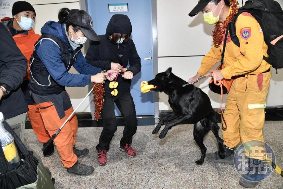 搜救犬在入境大廳玩玩具兼休息。