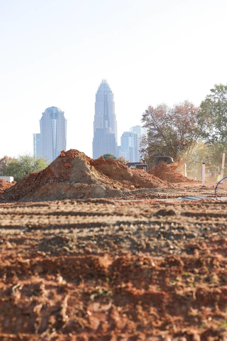 Charlotte lost more than 900 acres of trees from 2018 to 2022, a recent estimate found.