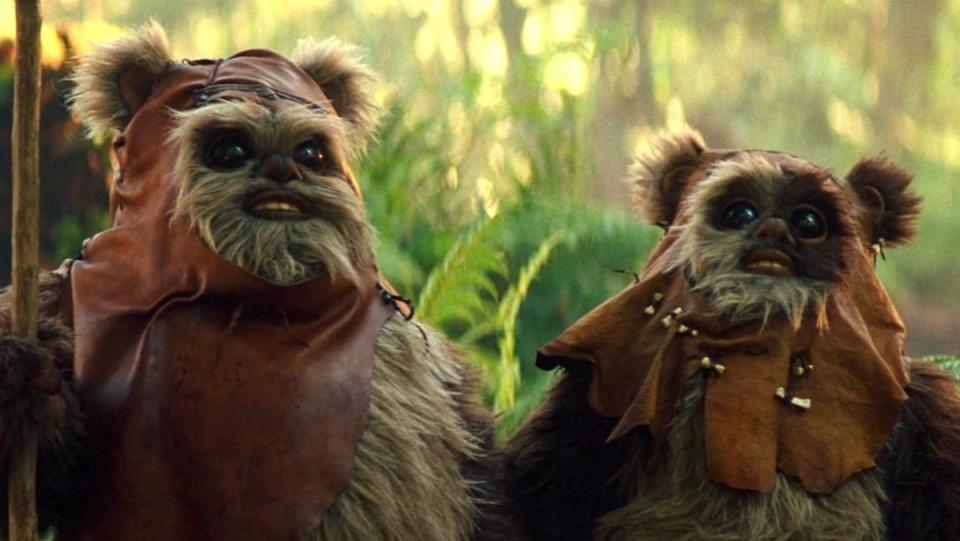 Wicket and his Ewok son in The Rise of Skywalker