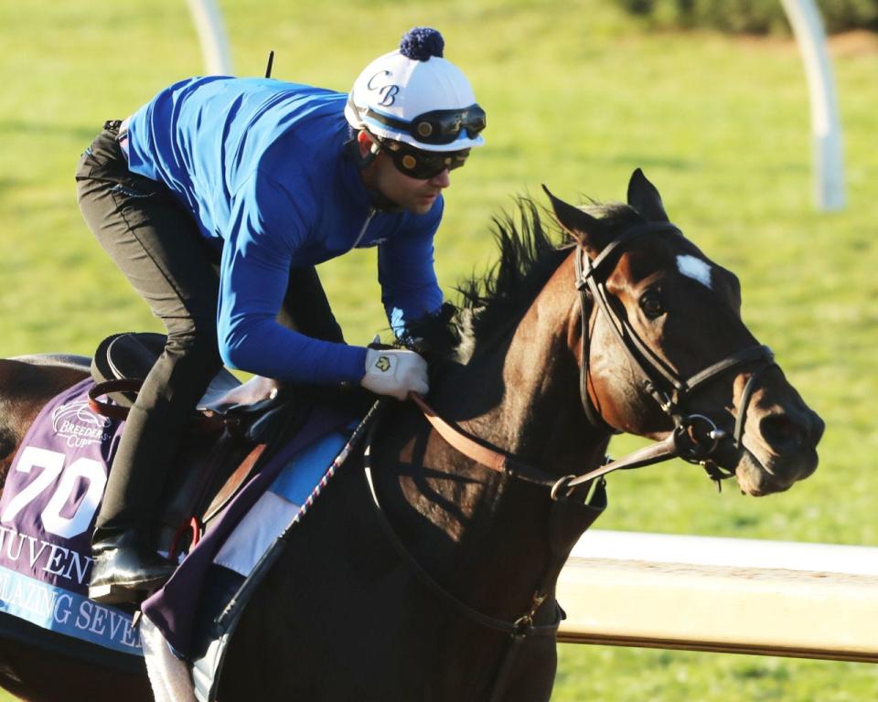 Blazing Sevens trained at Keeneland before last year's Breeders' Cup Juvenile. The Chad Brown trainee finished fourth.