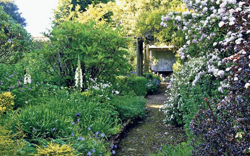 Quiet corner: The old walled garden, above, where Alasdair Forbes indulges his love of flowers - Alasdair Forbes