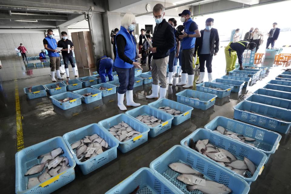 A team of experts from the International Atomic Energy Agency (IAEA) with scientists from China, South Korea and Canada observe the inshore fish during a morning auction at Hisanohama Port in Iwaki, northeastern Japan Thursday, Oct. 19, 2023. They are visiting Fukushima for its first marine sampling mission since the Fukushima Daiichi nuclear power plant started releasing the treated radioactive wastewater into the sea. (AP Photo/Eugene Hoshiko, Pool)