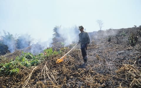 Crop burning is partly to blame for Bangkok's current air quality crisis - Credit: Getty