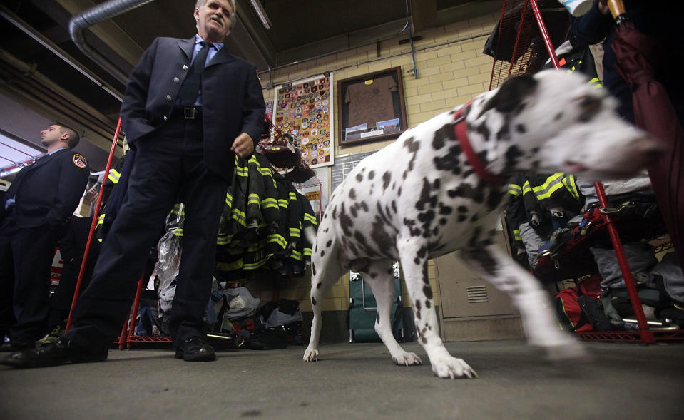 (Photo by Mario Tama/Getty Images)