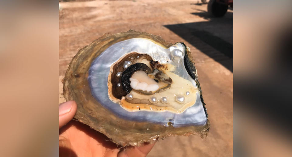 Cygnet Bay Pearl Farm has discovered 10 pearls inside a single oyster