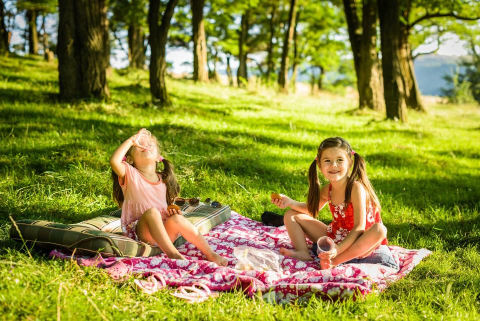 Have a Picnic in the Park