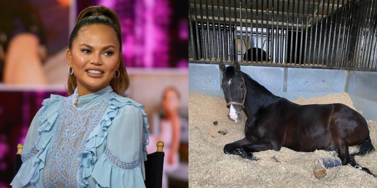 Photo credit: NBC/Chrissy Teigen - Getty Images