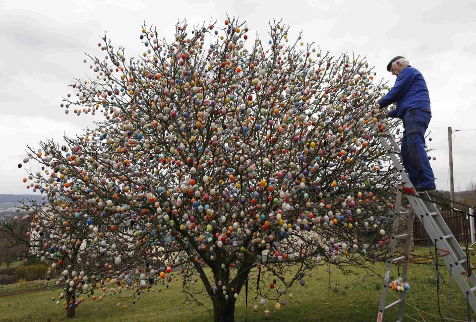 German pensioner Kraft decorates an apple tree with Easter eggs in the garden of his summerhouse in the eastern German town of Saalfeld