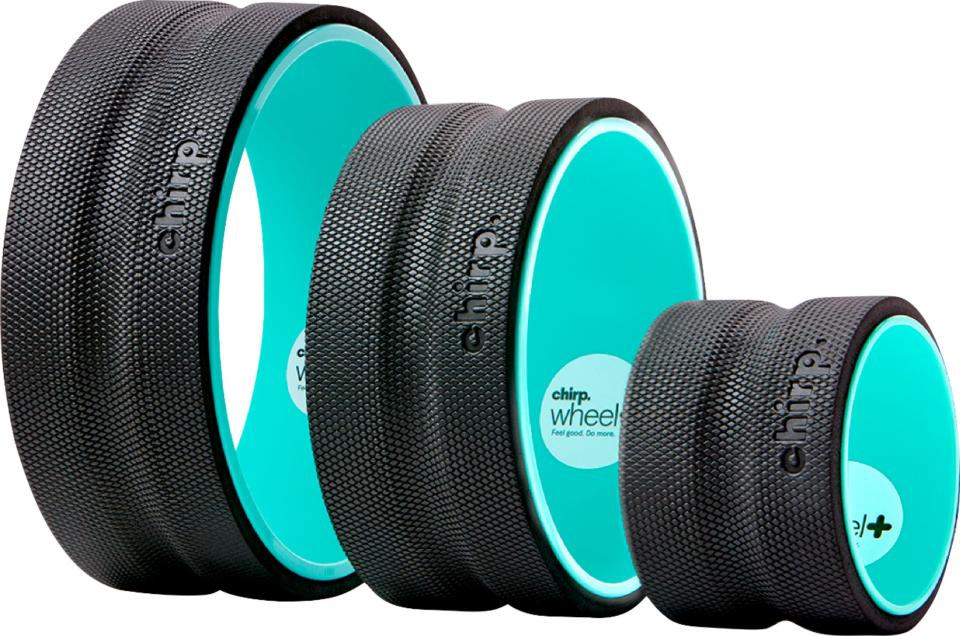 the teal chirp wheel for back pain in all three sizes