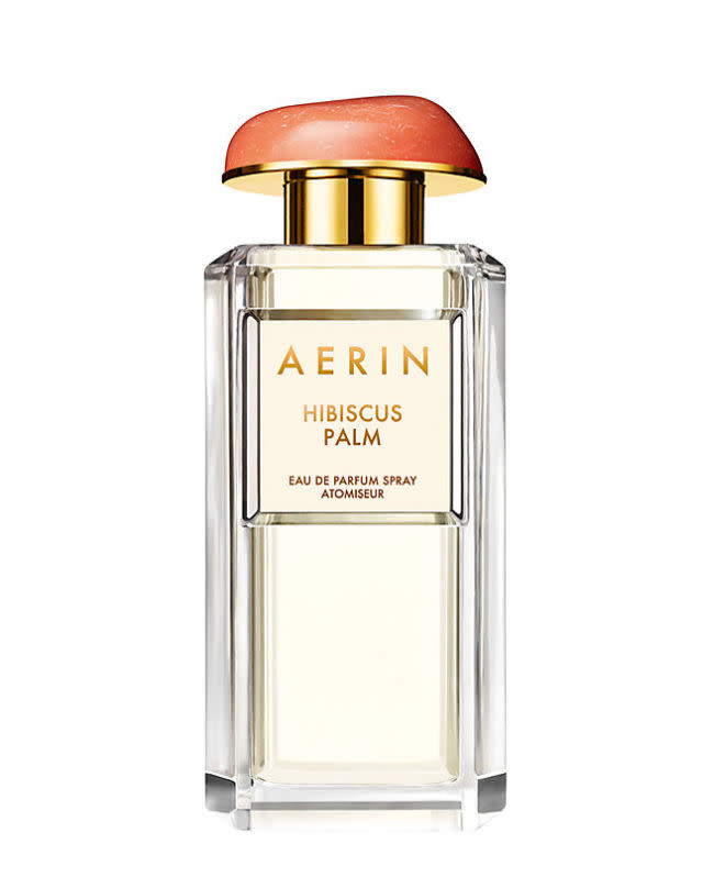 Aerin Hibiscus Palm