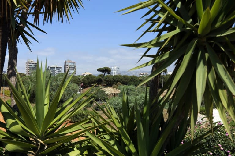 Activists have spent years campaigning for Horsh Beirut, a forest in the centre of Beirut to be reopened to the public