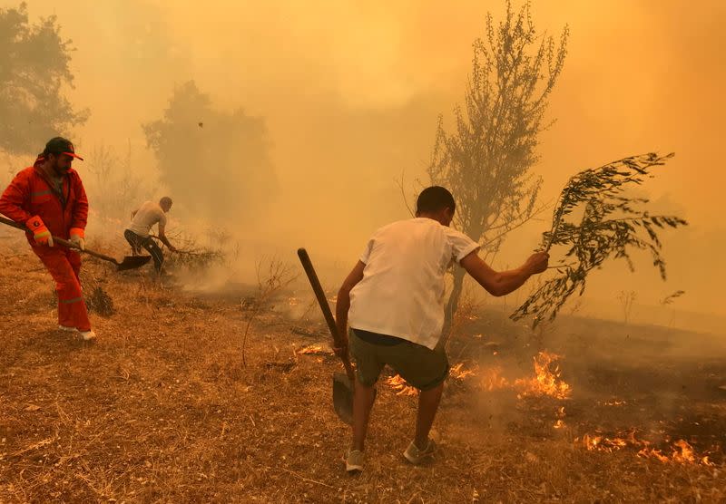 People use tree branches in an attempt to put out the flames of a wildfire in Iboudraren village