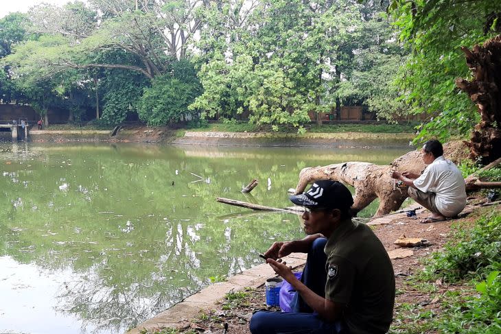 Pengunjung memancing di danau Hutan Kota Srengseng, Kembangan, Jakarta Barat, Rabu (13/7/2022). Hutan Kota Srengseng yang terletak di kawasan Srengseng, Kembangan, Jakarta Barat merupakan salah satu hutan kota terbesar di Jakarta. (ANTARA/Ulfa Jainita)