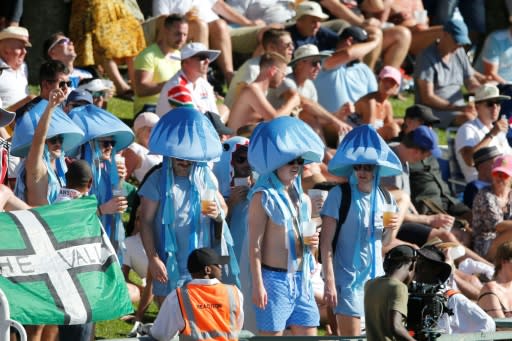 Dressed to impress: Fans dressed as jellyfish during the second day of the second Test