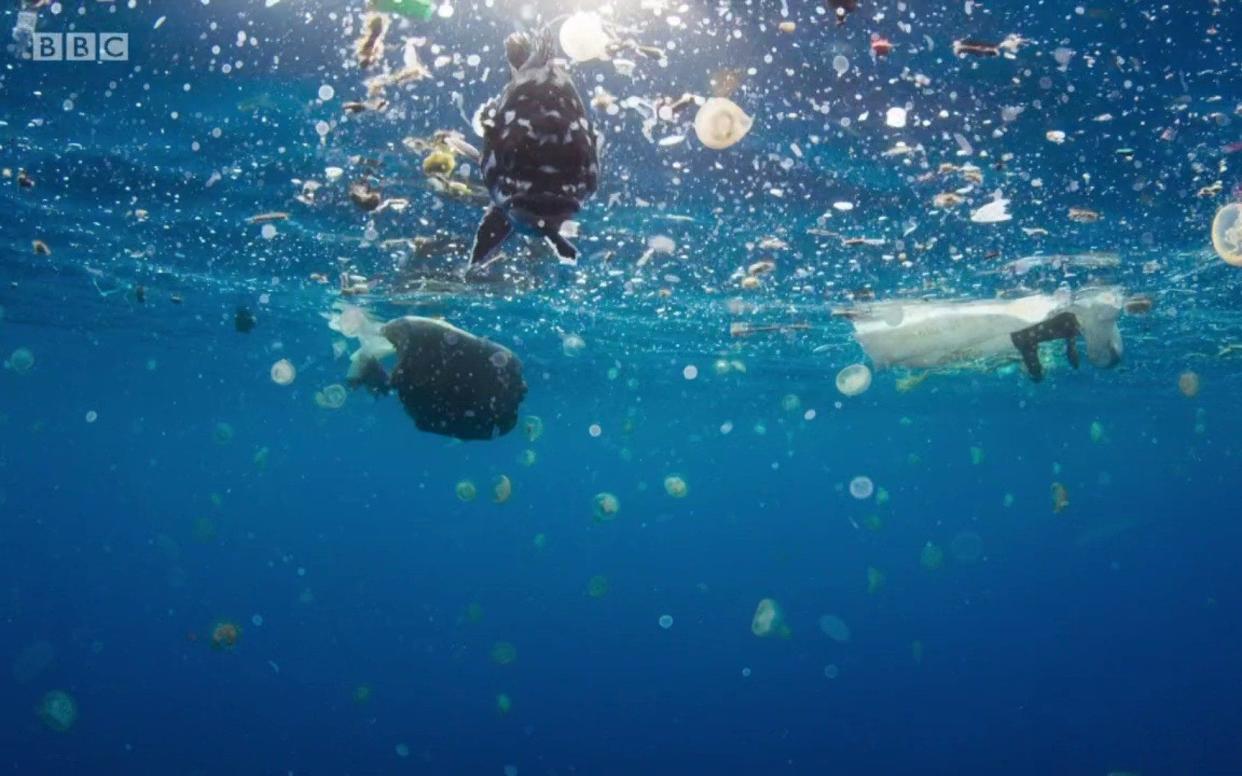 Blue Planet II helped expose the pollution disaster unfolding - BBC