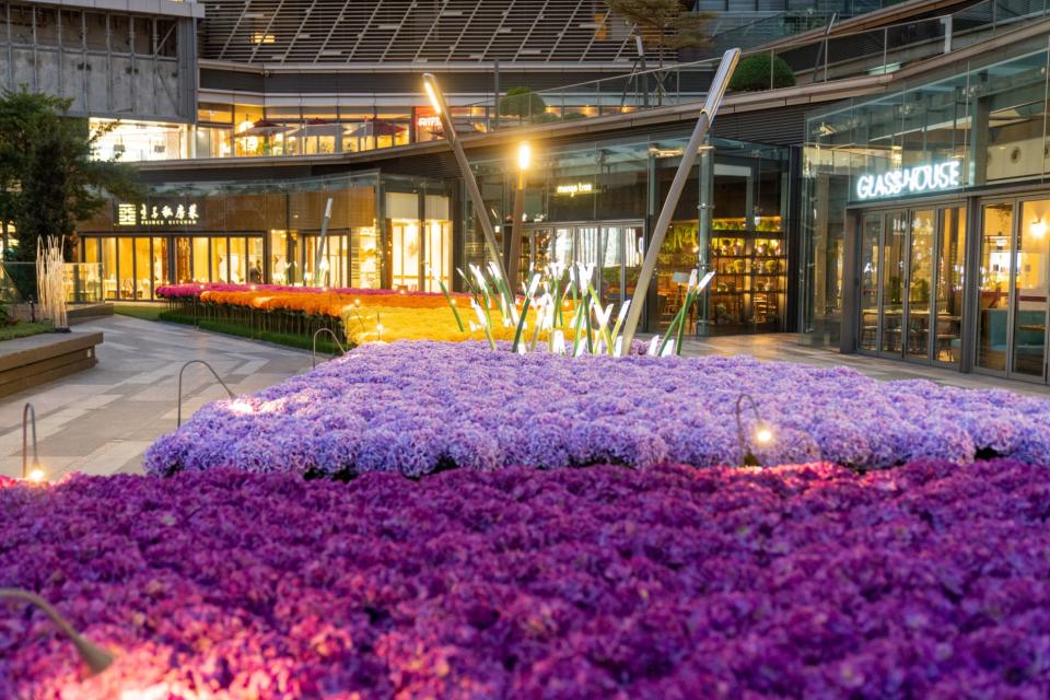 戶外的「白鷺花園」設有繽紛的花海，於旁邊餐廳進餐則可飽覽整片花海。 