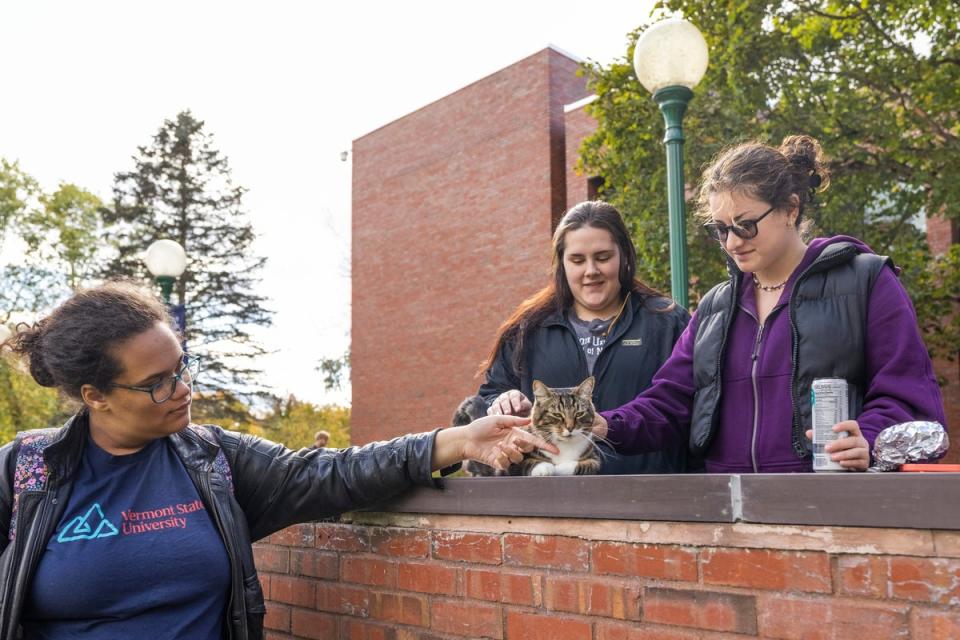 Vermont State University students pet Max the Cat in front of Leavenworth Hall at Vermont State University Castleton on 12 October, 2023 in Castleton, Vermont (©2023 Vermont State University)