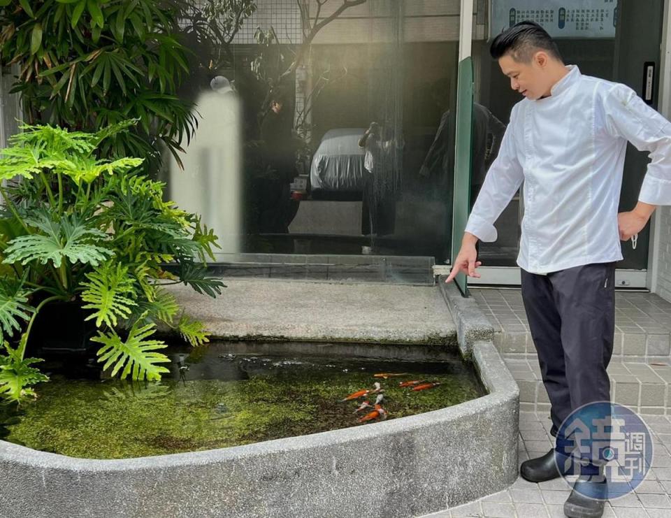 主廚楊彥希與他的庭院裡的魚及植物。