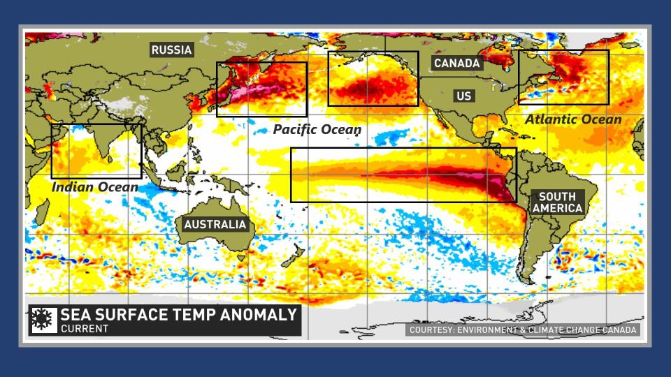 September 2023 sea surface temperature anomalies El Niño