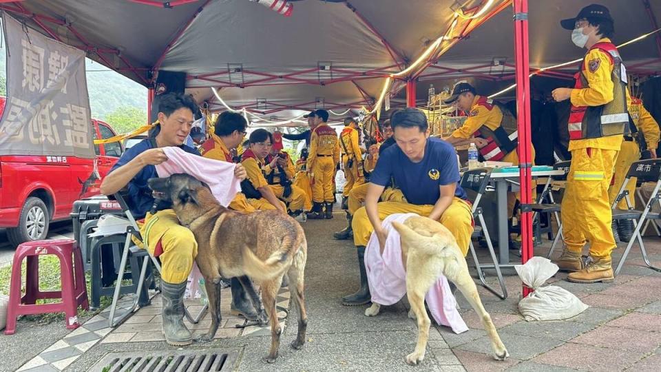高雄市政府消防局特搜中隊搜救犬隊替英雄們擦拭身體，以防著涼感冒。   圖：搜救犬「羅傑計畫」
