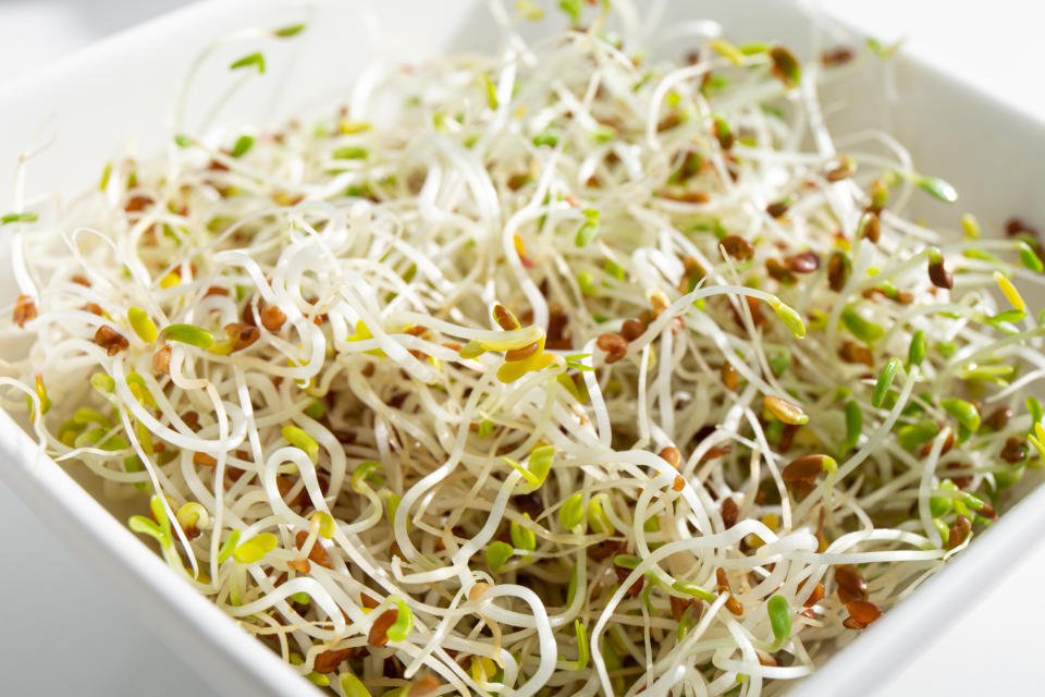 Macro photo of healthy fresh homegrown Alfalfa or Lucerne Medicago sativa sprouts in white bowl, back light. Used for for garnish or salad.