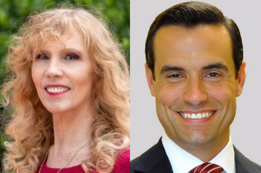 Republican Peggy Gossett-Seidman serves on the Highland Beach Town Commission, while Democrat Andy Thomson serves on the Boca Raton City Council. They face off in the race for Florida House 91.